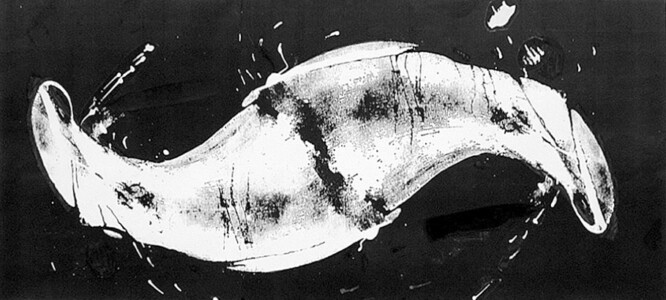 輪廻 タイトル『輪廻』2005年製作 シルクスクリーン