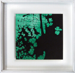 COSMIC 作品名:COSMIC/価格応談/品番 S-37:紙・シルクスクリーン/100部限定/2012年制作/額裏にサイン・指紋捺印・エディションナンバー/サイズ:本体19x20cm、額寸31x32x4cm(アクリルカバー付き)/状態良好/お届けまで約2~3週間