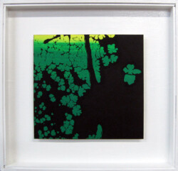 COSMIC 作品名:COSMIC/価格応談/品番 S-39:紙・シルクスクリーン/100部限定/2012年制作/額裏にサイン・指紋捺印・エディションナンバー/サイズ:本体18x19cm、額寸30x31x4cm(アクリルカバー付き)/状態良好/お届けまで約2~3週間